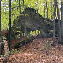 22-10-10 13-58-52 2647